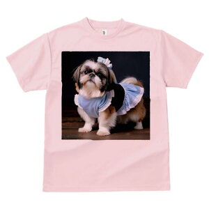 V[Y[ TVc  j[NfUCfB[X t@  t vg lJWA 킢 lԗp Mtg I ҏ΍ hbOEFA V[Y[ [X