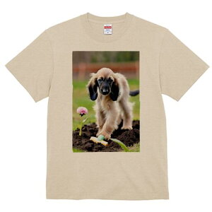 AtKnEh TVc  j[NfUCfB[X t@  t vg lJWA 킢 lԗp Mtg I ҏ΍  AtKnEh  y