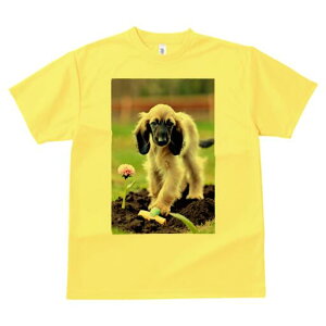 AtKnEh TVc  j[NfUCfB[X t@  t vg lJWA 킢 lԗp Mtg I ҏ΍  AtKnEh  y