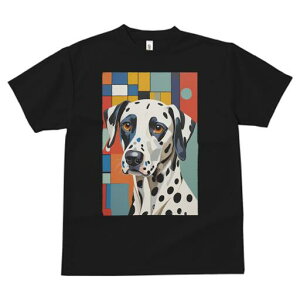 _VA TVc  j[NfUCfB[X t@  t vg lJWA 킢 lԗp Mtg I ҏ΍ _VA