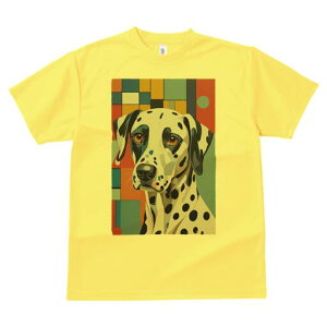 _VA TVc  j[NfUCfB[X t@  t vg lJWA 킢 lԗp Mtg I ҏ΍ _VA