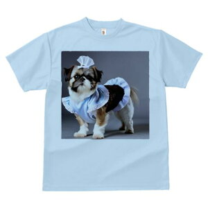 V[Y[ TVc  j[NfUCfB[X t@  t vg lJWA 킢 lԗp Mtg I ҏ΍ Ch V[Y[ Xq