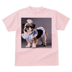 V[Y[ TVc  j[NfUCfB[X t@  t vg lJWA 킢 lԗp Mtg I ҏ΍ Ch V[Y[ Xq