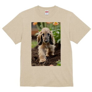 AtKnEh TVc  j[NfUCfB[X t@  t vg lJWA 킢 lԗp Mtg I ҏ΍  AtKnEh 