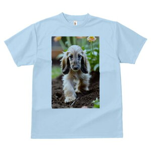 AtKnEh TVc  j[NfUCfB[X t@  t vg lJWA 킢 lԗp Mtg I ҏ΍  AtKnEh 