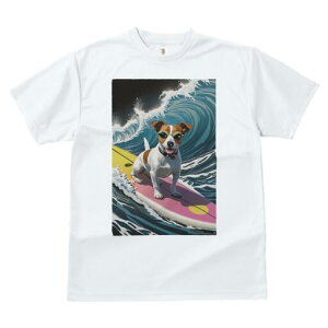 WbNbZeA TVc  j[NfUCfB[X t@  t vg lJWA 킢 lԗp Mtg I ҏ΍ g WbNbZeA T[