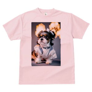 V[Y[ TVc  j[NfUCfB[X t@  t vg lJWA 킢 lԗp Mtg I ҏ΍ { V[Y[ 