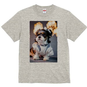 V[Y[ TVc  j[NfUCfB[X t@  t vg lJWA 킢 lԗp Mtg I ҏ΍ { V[Y[ 