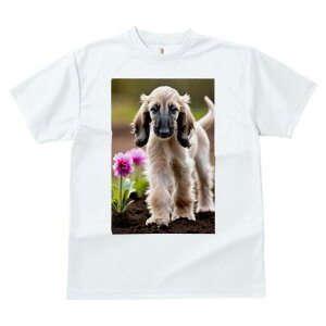 AtKnEh TVc  j[NfUCfB[X t@  t vg lJWA 킢 lԗp Mtg I ҏ΍  AtKnEh