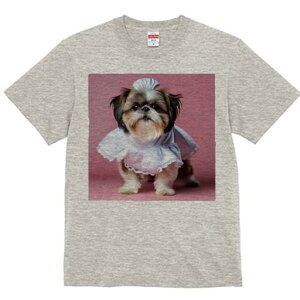 V[Y[ TVc  j[NfUCfB[X t@  t vg lJWA 킢 lԗp Mtg I ҏ΍ RX`[ V[Y[