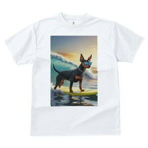 ~j`AsV[ TVc  j[NfUCfB[X t@  t vg lJWA 킢 lԗp Mtg I ҏ΍ g ~j`AsV[ T[tB