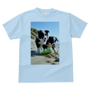 {[_[R[ TVc  j[NfUCfB[X t@  t vg lJWA 킢 lԗp Mtg I ҏ΍ r[` {[_[R[  