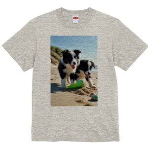 {[_[R[ TVc  j[NfUCfB[X t@  t vg lJWA 킢 lԗp Mtg I ҏ΍ r[` {[_[R[  