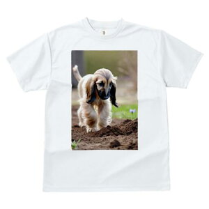 AtKnEh TVc  j[NfUCfB[X t@  t vg lJWA 킢 lԗp Mtg I ҏ΍ y AtKnEh 