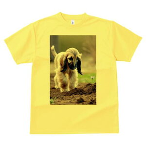 AtKnEh TVc  j[NfUCfB[X t@  t vg lJWA 킢 lԗp Mtg I ҏ΍ y AtKnEh 