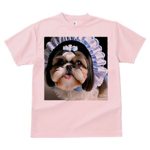 V[Y[ TVc  j[NfUCfB[X t@  t vg lJWA 킢 lԗp Mtg I ҏ΍ Ch V[Y[ Xq {