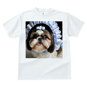 V[Y[ TVc  j[NfUCfB[X t@  t vg lJWA 킢 lԗp Mtg I ҏ΍ Ch V[Y[ Xq {