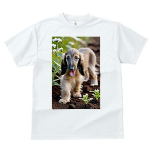 AtKnEh TVc  j[NfUCfB[X t@  t vg lJWA 킢 lԗp Mtg I ҏ΍  AtKnEh y