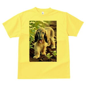 AtKnEh TVc  j[NfUCfB[X t@  t vg lJWA 킢 lԗp Mtg I ҏ΍  AtKnEh y