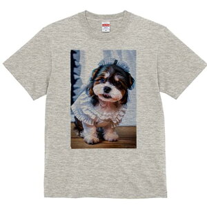 V[Y[ TVc  j[NfUCfB[X t@  t vg lJWA 킢 lԗp Mtg I ҏ΍ Ch V[Y[