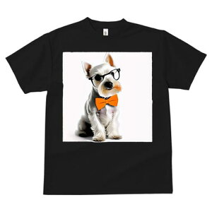 ~j`AViEU[ TVc  j[NfUCY LbY t@  t vg lJWA 킢 lԗp Mtg I ҏ΍ Kl ~j`AViEU