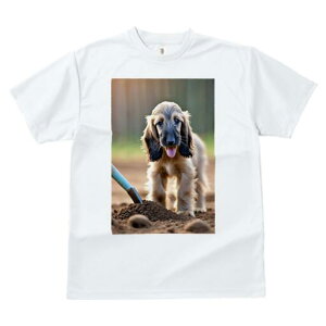 AtKnEh TVc  j[NfUCfB[X t@  t vg lJWA 킢 lԗp Mtg I ҏ΍ y AtKnEh Vx