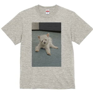 EGXgnChzCgeA TVc  j[NfUCfB[X t@  t vg lJWA 킢 lԗp Mtg I ҏ΍ EGXgnChz