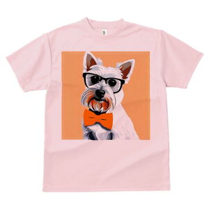 EGXgnChzCgeA TVc  j[NfUCfB[X t@  t vg lJWA 킢 lԗp Mtg I ҏ΍ Kl EGXgnC