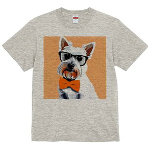 EGXgnChzCgeA TVc  j[NfUCfB[X t@  t vg lJWA 킢 lԗp Mtg I ҏ΍ Kl EGXgnC