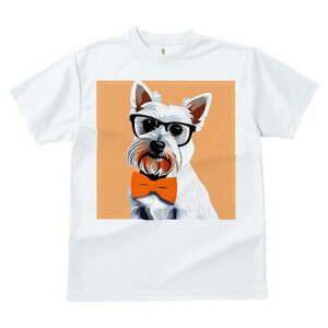 EGXgnChzCgeA TVc  j[NfUCY LbY t@  t vg lJWA 킢 lԗp Mtg I ҏ΍ Kl EGXgn