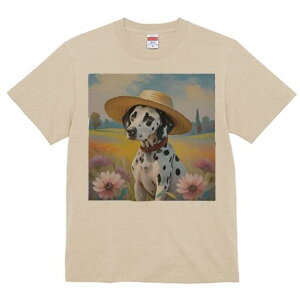 _VA TVc  j[NfUCfB[X t@  t vg lJWA 킢 lԗp Mtg I ҏ΍ Xq _VA  i