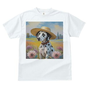 _VA TVc  j[NfUCfB[X t@  t vg lJWA 킢 lԗp Mtg I ҏ΍ Xq _VA  i