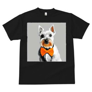 ~j`AViEU[ TVc  j[NfUCfB[X t@  t vg lJWA 킢 lԗp Mtg I ҏ΍ lN^C ~j`AViEU