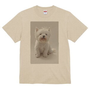 EGXgnChzCgeA TVc  j[NfUCfB[X t@  t vg lJWA 킢 lԗp Mtg I ҏ΍ EGXgnChz