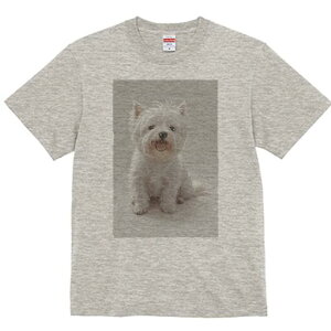 EGXgnChzCgeA TVc  j[NfUCfB[X t@  t vg lJWA 킢 lԗp Mtg I ҏ΍ EGXgnChz