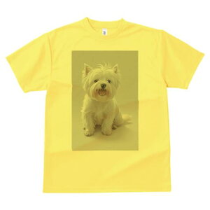 EGXgnChzCgeA TVc  j[NfUCfB[X t@  t vg lJWA 킢 lԗp Mtg I ҏ΍ EGXgnChz