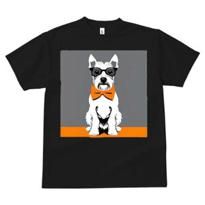 EGXgnChzCgeA TVc  j[NfUCfB[X t@  t vg lJWA 킢 lԗp Mtg I ҏ΍ Kl EGXgnC