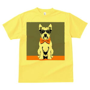 EGXgnChzCgeA TVc  j[NfUCfB[X t@  t vg lJWA 킢 lԗp Mtg I ҏ΍ Kl EGXgnC