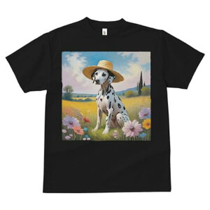 _VA TVc  j[NfUCfB[X t@  t vg lJWA 킢 lԗp Mtg I ҏ΍ Xq _VA 