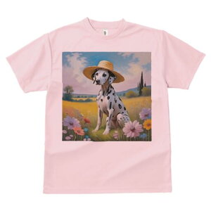 _VA TVc  j[NfUCfB[X t@  t vg lJWA 킢 lԗp Mtg I ҏ΍ Xq _VA 