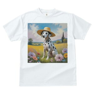 _VA TVc  j[NfUCfB[X t@  t vg lJWA 킢 lԗp Mtg I ҏ΍ Xq _VA 