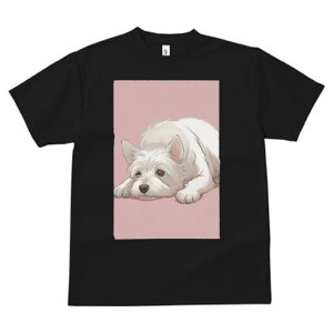 EGXgnChzCgeA TVc  j[NfUCfB[X t@  t vg lJWA 킢 lԗp Mtg I ҏ΍ EGXgnChz