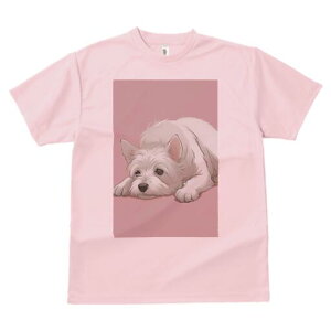 EGXgnChzCgeA TVc  j[NfUCY LbY t@  t vg lJWA 킢 lԗp Mtg I ҏ΍ EGXgnCh