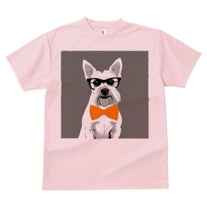 ~j`AViEU[ TVc  j[NfUCfB[X t@  t vg lJWA 킢 lԗp Mtg I ҏ΍ Kl ~j`AViEU[ 