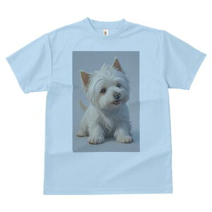 EGXgnChzCgeA TVc  j[NfUCfB[X t@  t vg lJWA 킢 lԗp Mtg I ҏ΍ EGXgnChz