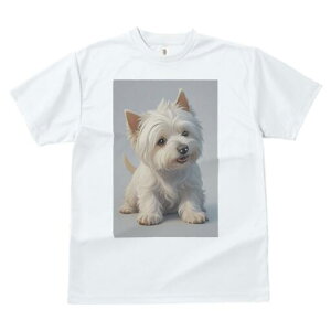 EGXgnChzCgeA TVc  j[NfUCY LbY t@  t vg lJWA 킢 lԗp Mtg I ҏ΍ EGXgnCh