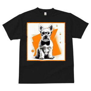 EGXgnChzCgeA TVc  j[NfUCfB[X t@  t vg lJWA 킢 lԗp Mtg I ҏ΍ Kl EGXgnC