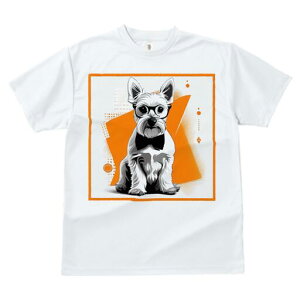 EGXgnChzCgeA TVc  j[NfUCfB[X t@  t vg lJWA 킢 lԗp Mtg I ҏ΍ Kl EGXgnC