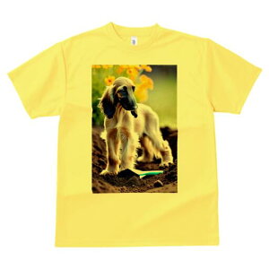 AtKnEh TVc  j[NfUCfB[X t@  t vg lJWA 킢 lԗp Mtg I ҏ΍  AtKnEh  y