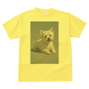 EGXgnChzCgeA TVc  j[NfUCfB[X t@  t vg lJWA 킢 lԗp Mtg I ҏ΍ EGXgnChz